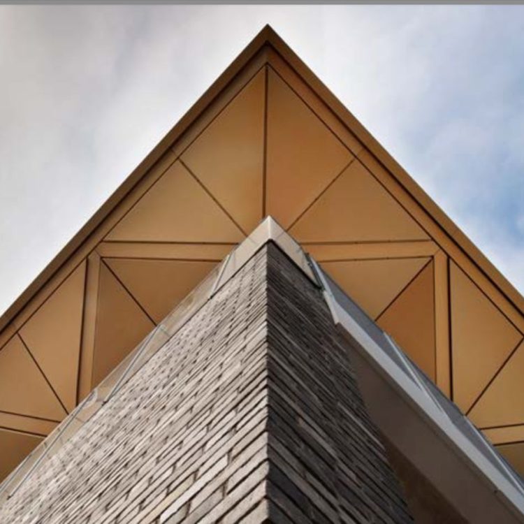 WhatsApp Image 2025-11-09 at 21.34.46